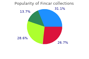 purchase fincar with a visa