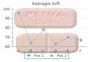 kamagra soft 100 mg visa